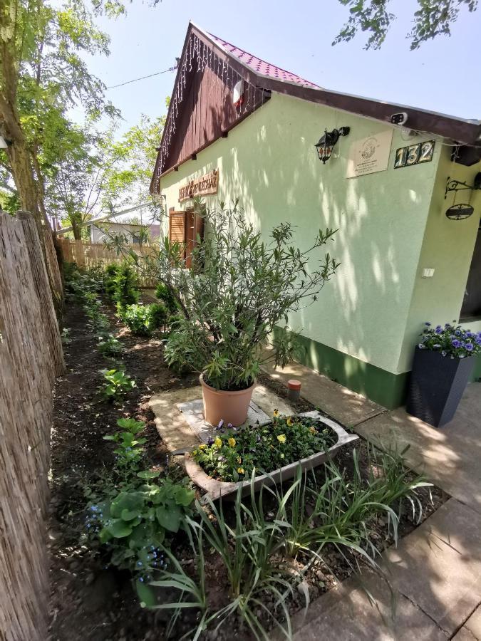 Berkó Vendégház Rakoczifalva Exterior foto
